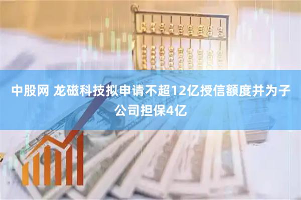 中股网 龙磁科技拟申请不超12亿授信额度并为子公司担保4亿